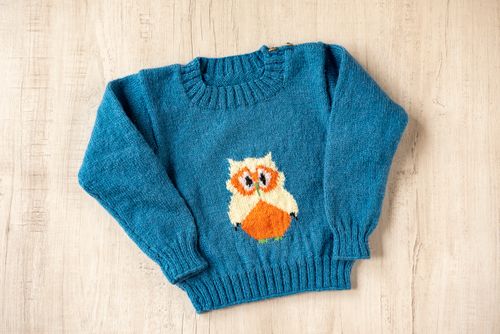 Blue Woollen Hand Knitted Happy Owl Design Infant Pullover  - thesaffronsaga