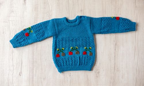 Blue Full Sleeves Woollen Hand Knitted Happy Plants Design Infant Pullover  - thesaffronsaga